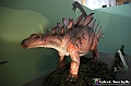 VBS_0931 - Dinosauri. Terra dei giganti